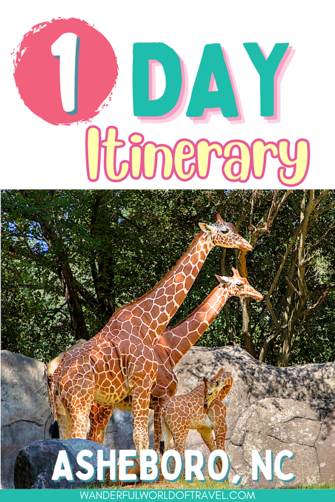 A giraffe and two giraffes with the text 1 day itinerary Ashboro, NC.