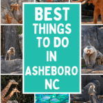 Create your ultimate Asheboro itinerary and discover the best things to do in Ashboro, NC.
