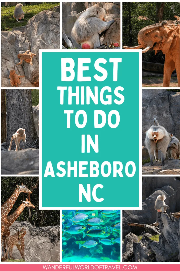 Create your ultimate Asheboro itinerary and discover the best things to do in Ashboro, NC.