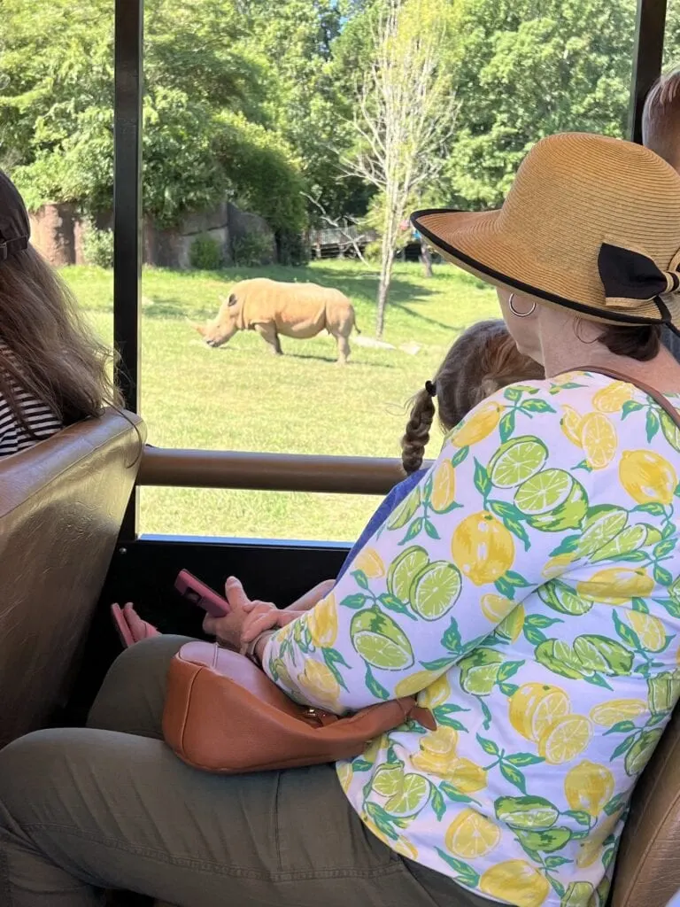 A group of people on a bus touring the magnificent rhinos at an Asheboro wildlife park.